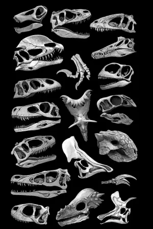 Poster to the movie "Flowervale Street" #616500