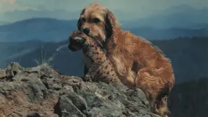 Backdrop to the movie "Benji the Hunted" #415123