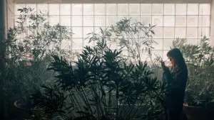 Backdrop to the movie "Let Sleeping Dogs Lie" #912447