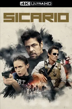 Poster to the movie "Sicario" #589303
