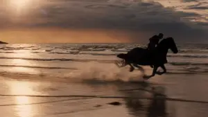 Backdrop to the movie "Clash of the Titans" #618387