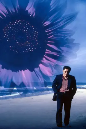 Poster to the movie "Fireworks" #711007