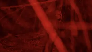 Backdrop to the movie "28 Years Later" #520682