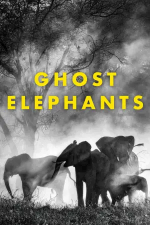Poster to the movie "Ghost Elephants" #670884