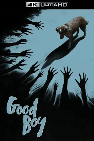 Poster to the movie "Good Boy" #770391