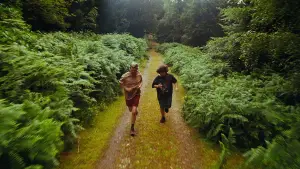 Backdrop to the movie "Bugonia" #511671