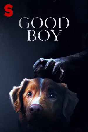 Poster to the movie "Good Boy" #517314