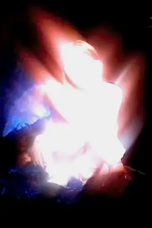 Poster to the movie "CAMP" #540610