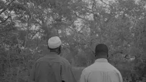 Backdrop to the movie "The Prophet" #558066