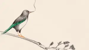 Backdrop to the movie "Cabbage Daddy" #547712