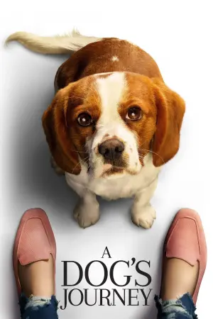 Poster to the movie "A Dog