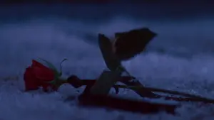 Backdrop to the movie "The Phantom of the Opera" #657318