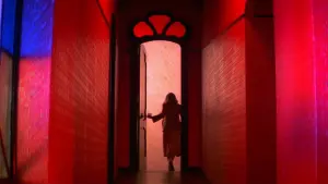 Backdrop to the movie "Suspiria" #504218