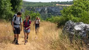 Backdrop to the movie "Compostelle" #796475