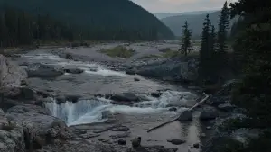 Backdrop to the movie "Prey" #626135