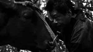 Backdrop to the movie "Black Ox" #543241