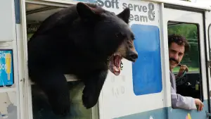 Backdrop to the movie "Borat: Cultural Learnings of America for Make Benefit Glorious Nation of Kazakhstan" #732706