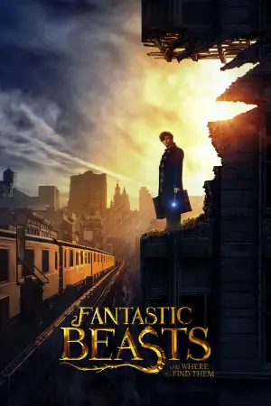 Poster to the movie "Fantastic Beasts and Where to Find Them" #590612