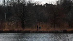 Backdrop to the movie "Leonie en Het Kind" #473970