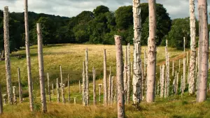 Backdrop to the movie "28 Years Later: The Bone Temple" #797410