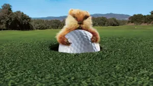 Backdrop to the movie "Caddyshack" #273429