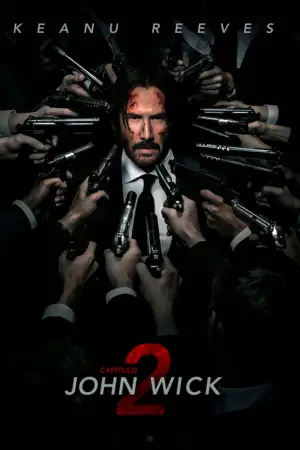 Poster to the movie "John Wick: Chapter 2" #585501