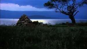 Backdrop to the movie "Living Free" #742306