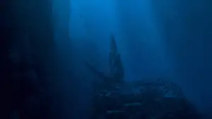 Backdrop to the movie "The Little Mermaid" #578325