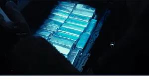 Backdrop to the movie "Zura III: The Cleansing" #451085