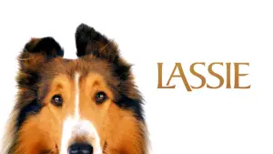 Backdrop to the movie "Lassie" #686453