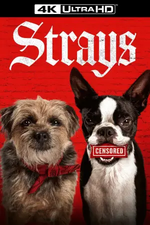 Poster to the movie "Strays" #734719