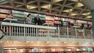 Backdrop to the movie "Contra" #380401