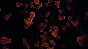 Backdrop to the movie "Madagascar" #521727