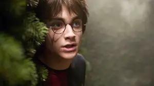 Backdrop to the movie "Harry Potter and the Goblet of Fire" #556545