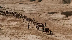 Backdrop to the movie "Crouching Tiger, Hidden Dragon" #633607