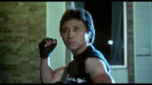 Backdrop to the movie "Miami Connection" #540495