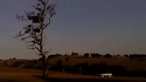 Backdrop to the movie "Dry Leaf" #623391