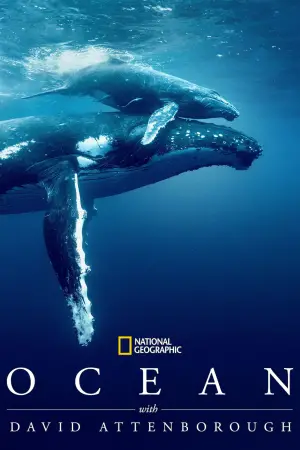 Poster to the movie "Ocean with David Attenborough" #617849