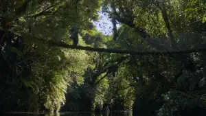 Backdrop to the movie "The Mountain" #666894