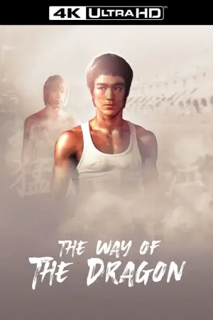Poster to the movie "The Way of the Dragon" #745730