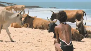 Backdrop to the movie "I Only Rest in the Storm" #799465