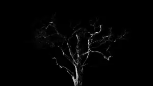 Backdrop to the movie "Dreams, Confessions and The End Of The World" #772858