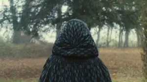 Backdrop to the movie "Portrait of a Lady on Fire" #709695