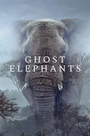 Poster to the movie "Ghost Elephants" #764757