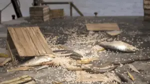 Backdrop to the movie "The Girl Who Cried Pearls" #583866