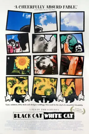Poster to the movie "Black Cat, White Cat" #874057