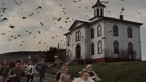 Backdrop to the movie "The Birds" #677188