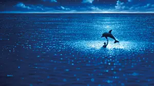 Backdrop to the movie "The Big Blue" #534922