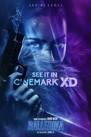 Poster to the movie "Ballerina" #526828