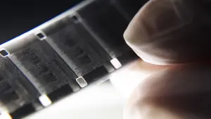 Backdrop to the movie "Luz Mala" #448821